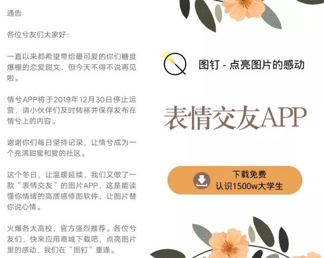 阿里上线「图钉」，布局图片交友