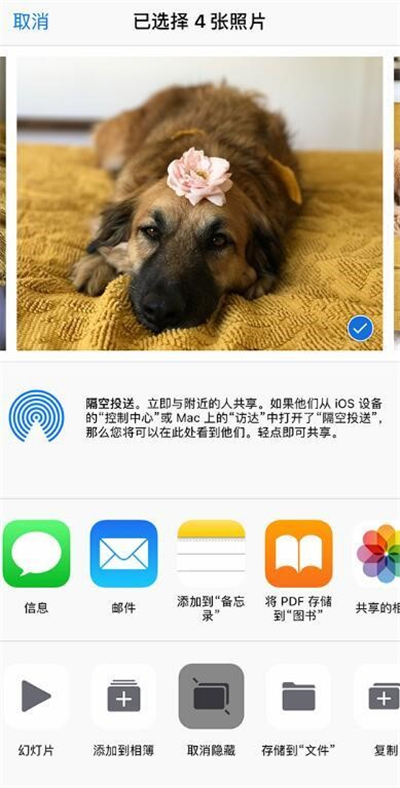 iPhone的相册管理功能居然这么强大？删掉的照片还能这样找回？