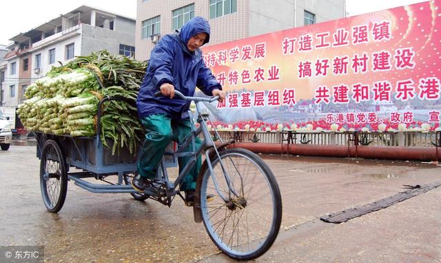 农村现在干什么挣钱？农民朋友可以看看这10个好点子