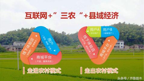 农村做什么最赚钱，这5大项目看看有适合你的吗？