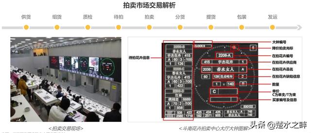 2019鲜花电商行业深度报告