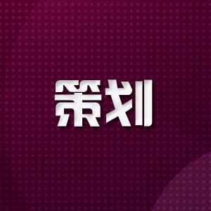 电商产品文案情感化营销策划书C篇