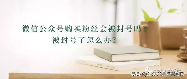 微信公众号购买粉丝会被封号吗？被封号了怎么办？