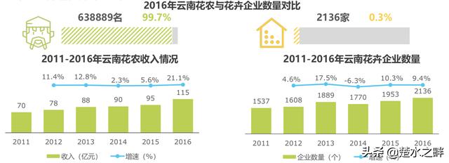 2019鲜花电商行业深度报告