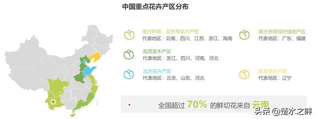 2019鲜花电商行业深度报告