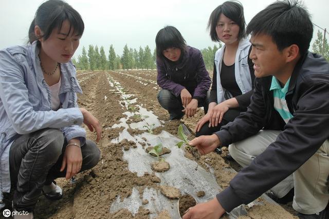 农村干什么能致富？经验告诉你这3个项目越往后越赚钱！