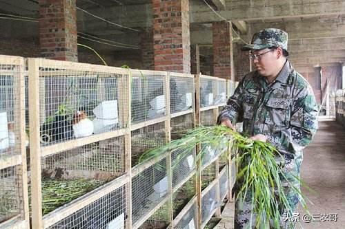 农村利润都很高的十个赚钱商机，返乡创业一样也有出息