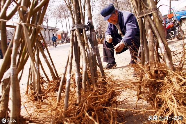 农村干什么赚钱呢？在农村这些赚钱渠道，只不过你没有发现而已