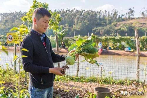 外面生意不好做，回农村这10个项目赚钱就不难