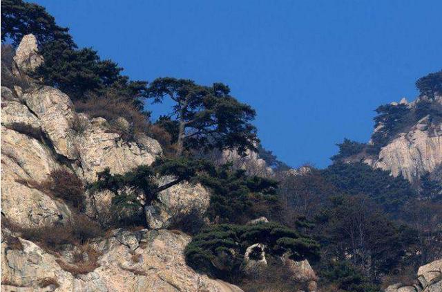 文化之五岳：东岳泰山，西岳华山，中岳嵩山，北岳恒山，南岳衡山