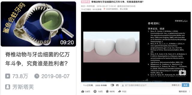 被忽视的蓝海——B站营销