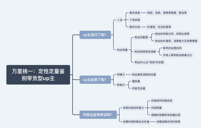 被忽视的蓝海——B站营销