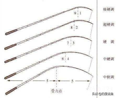 如何选择一根好钓竿？了解鱼竿的这4种性能，选的鱼竿钓不断