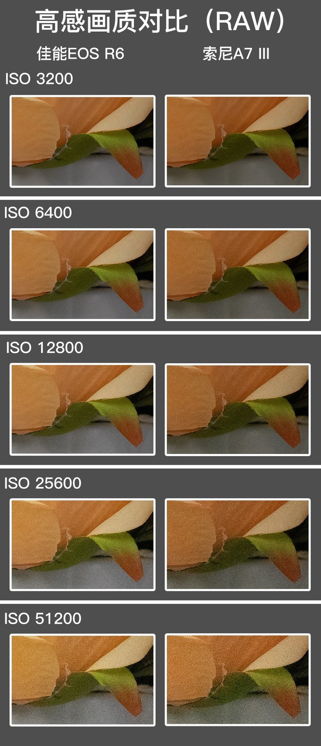 全画幅基准对决 EOS R6 vs A7M3谁是性价比之王