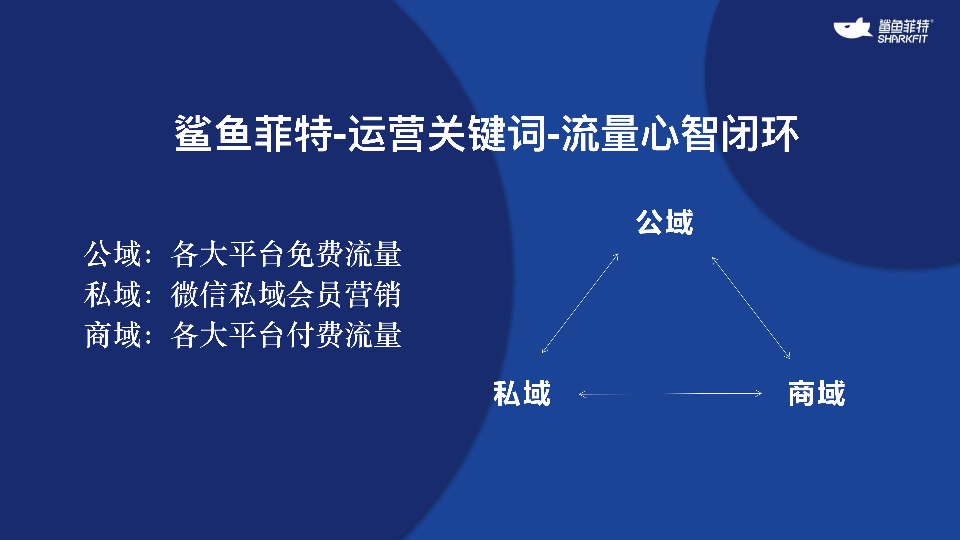 2年业绩暴增2000%，上百款SKU，鲨鱼菲特的爆品打法是？