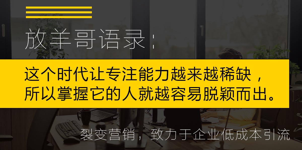 放羊哥：4大商业模式解析以及商业模式的5重境界！