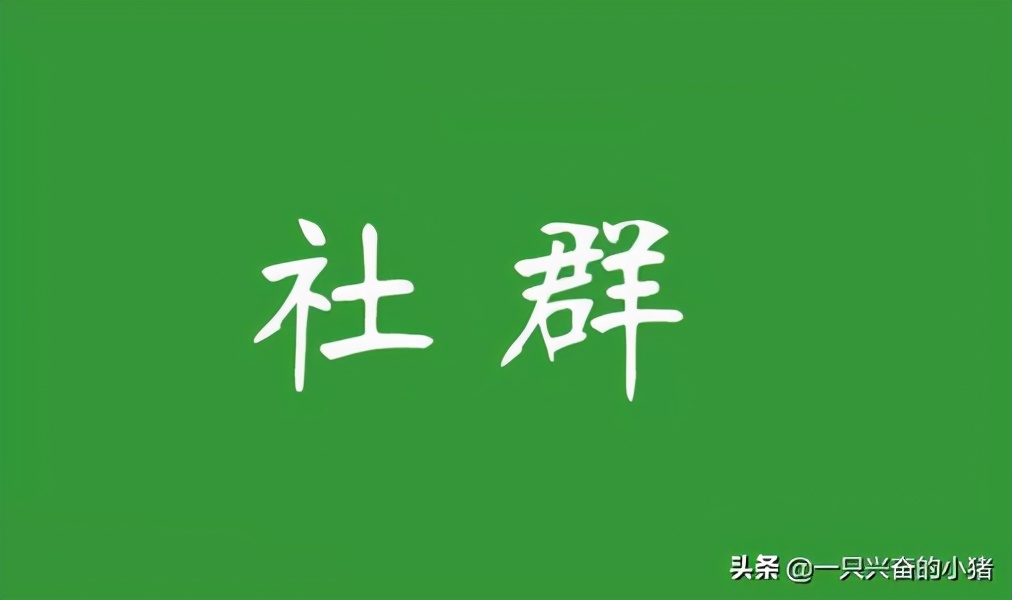 借助社群+微信群直播，实现订单逆势暴涨