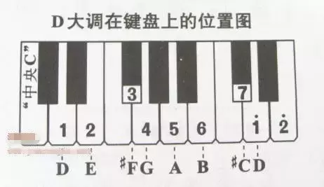 儿童14键电子琴键位图图片