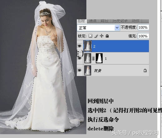 ps教程photoshop通道抠图方法技巧 抠图那点事