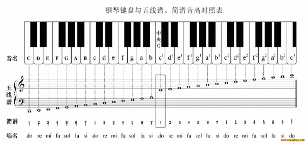 钢琴电子琴1234567指法图(新手最值收藏的电子琴指法图) 