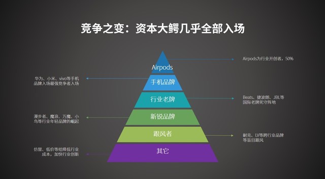 资本大鳄全部入场 2020耳机市场ZDC调研报告