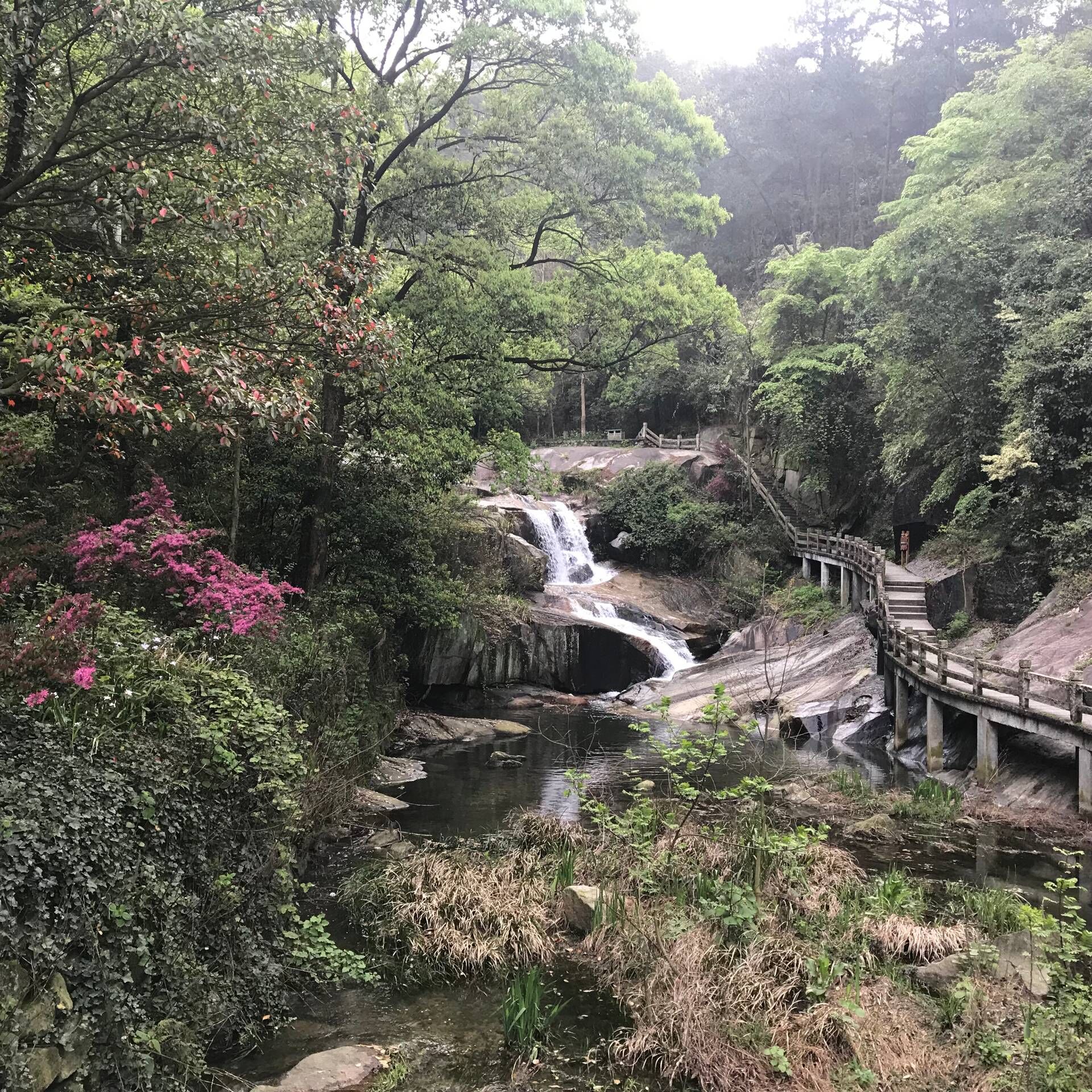 衡山一日游攻略