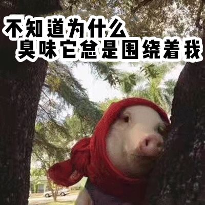 拼多多球鞋大测评 | 200块的假鞋，质量会比4000块的正品好？