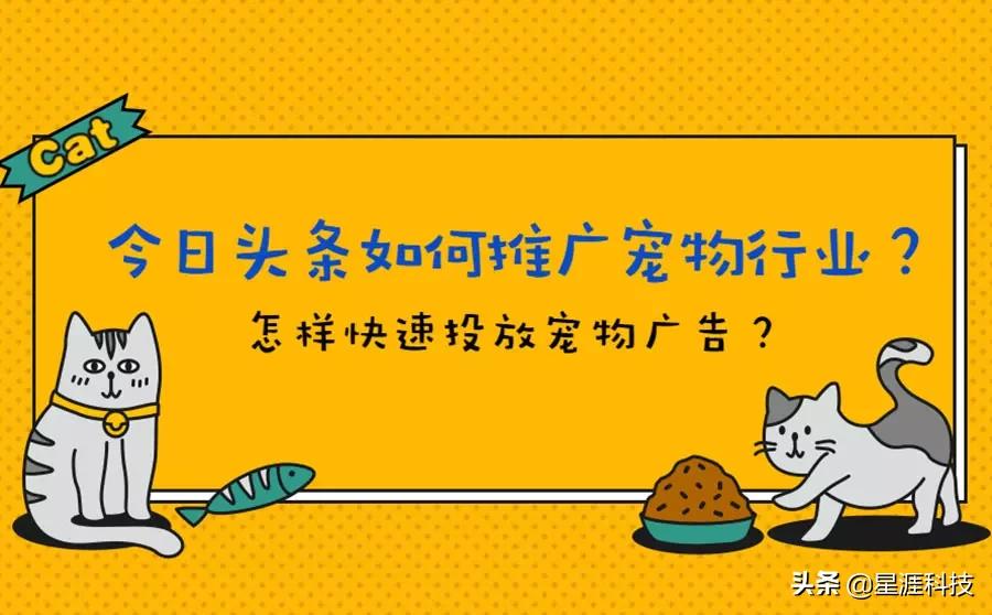 今日头条如何推广宠物广告？怎样快速投放宠物广告？