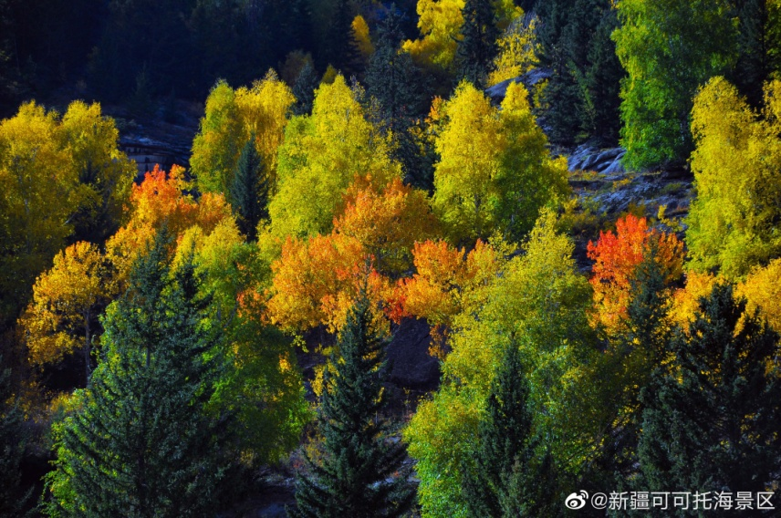 秋日可可托海。图/可可托海风景区官方微博