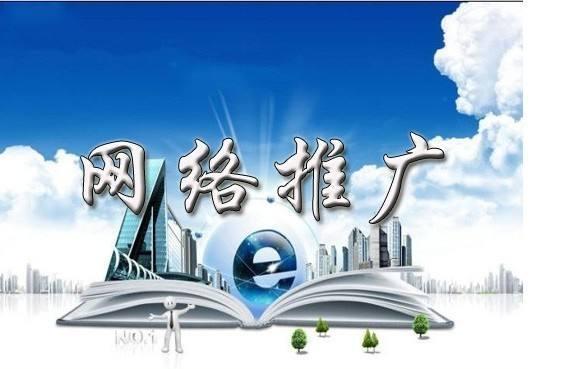 如何通过互联网等相关手段对产品进行营销推广？