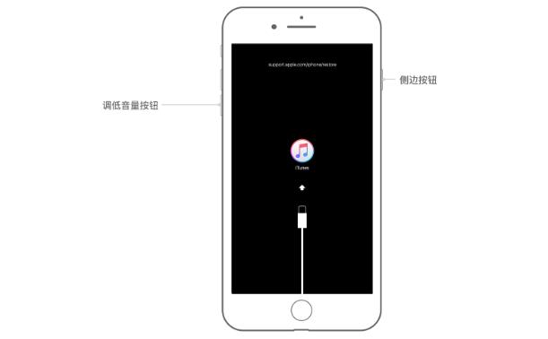 iPhone、iPad、iPod忘记密码如何解决？已停用解锁？连接iTunes？