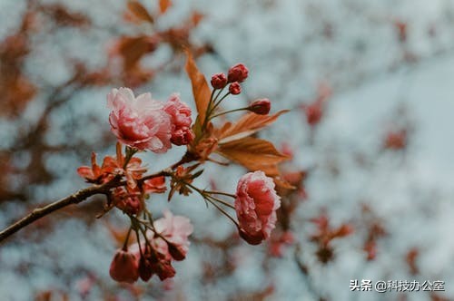 手机相机中的HDR是什么？喜欢拍照的一定要知道，用处非常大