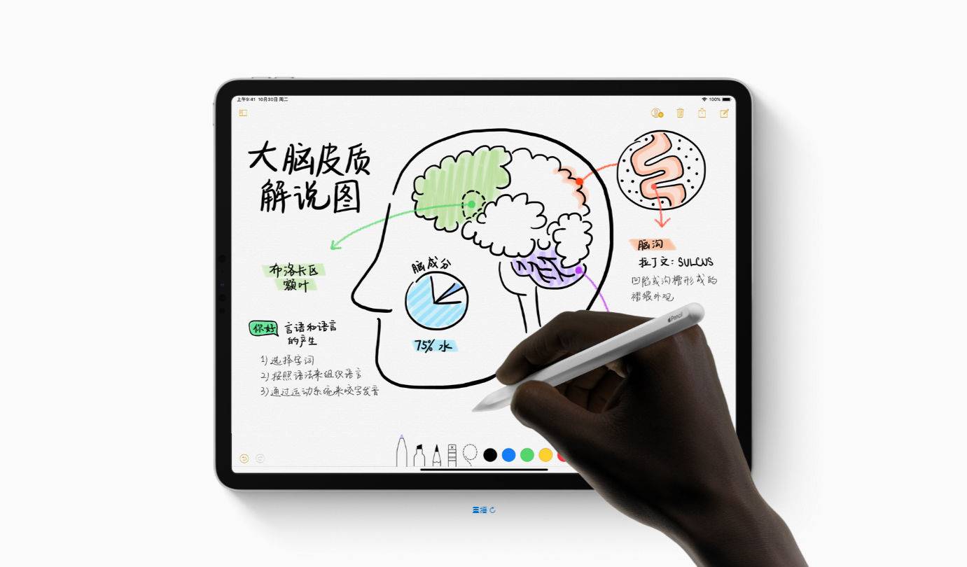 11 英寸 iPad Pro 拆解：比上代产品更强，维修起来也更容易了