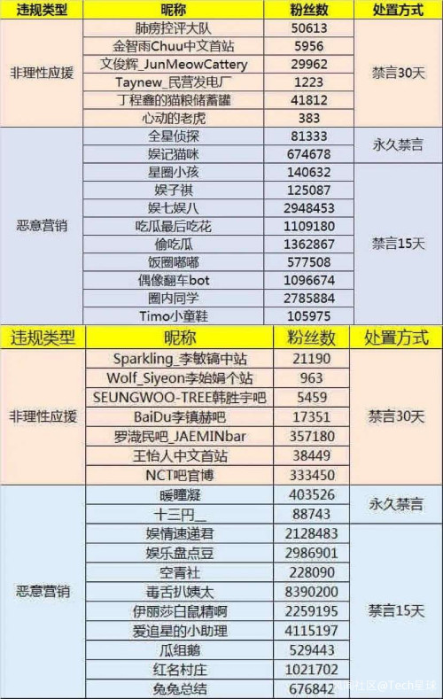 疯狂的饭圈：脂粉、打投、拔旗，困在资本与流量游戏中