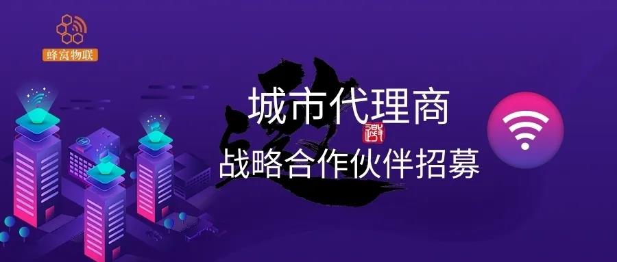 网站加盟要求和费用 网站加盟城市分站要多少加盟费