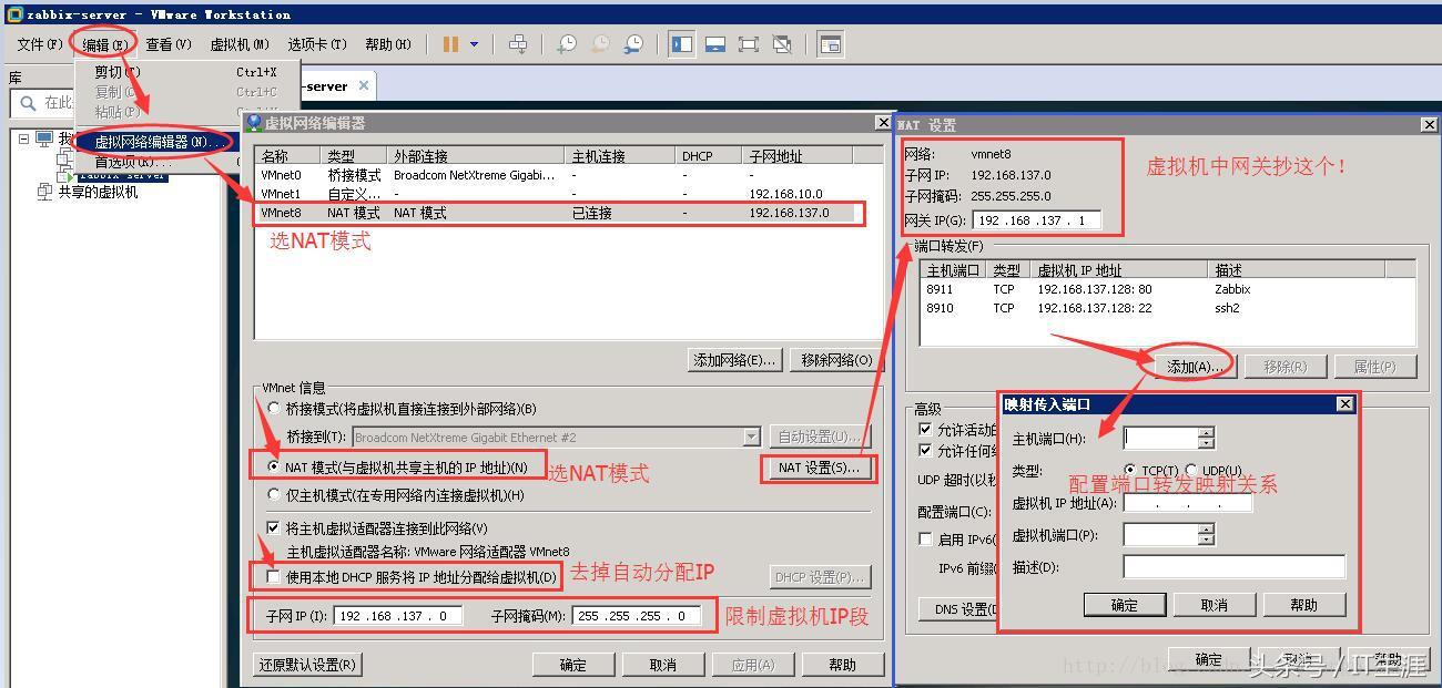 如何从外网访问VMware虚拟机的Web服务