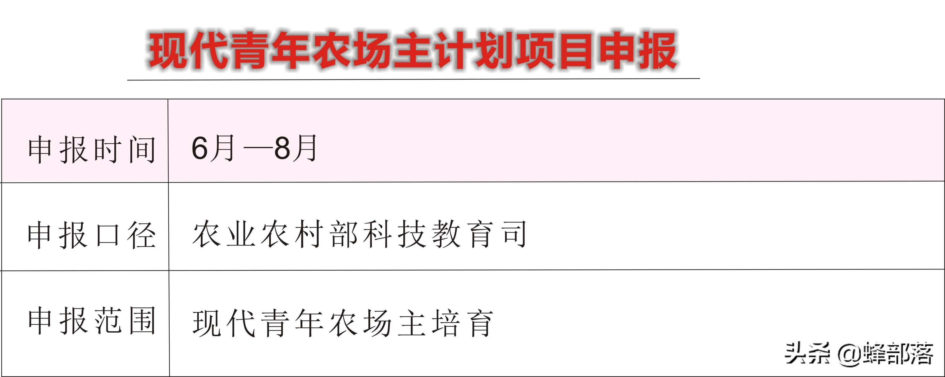 2021哪些乡村振兴项目有补贴？这16个项目补贴钱多，申请单位不同