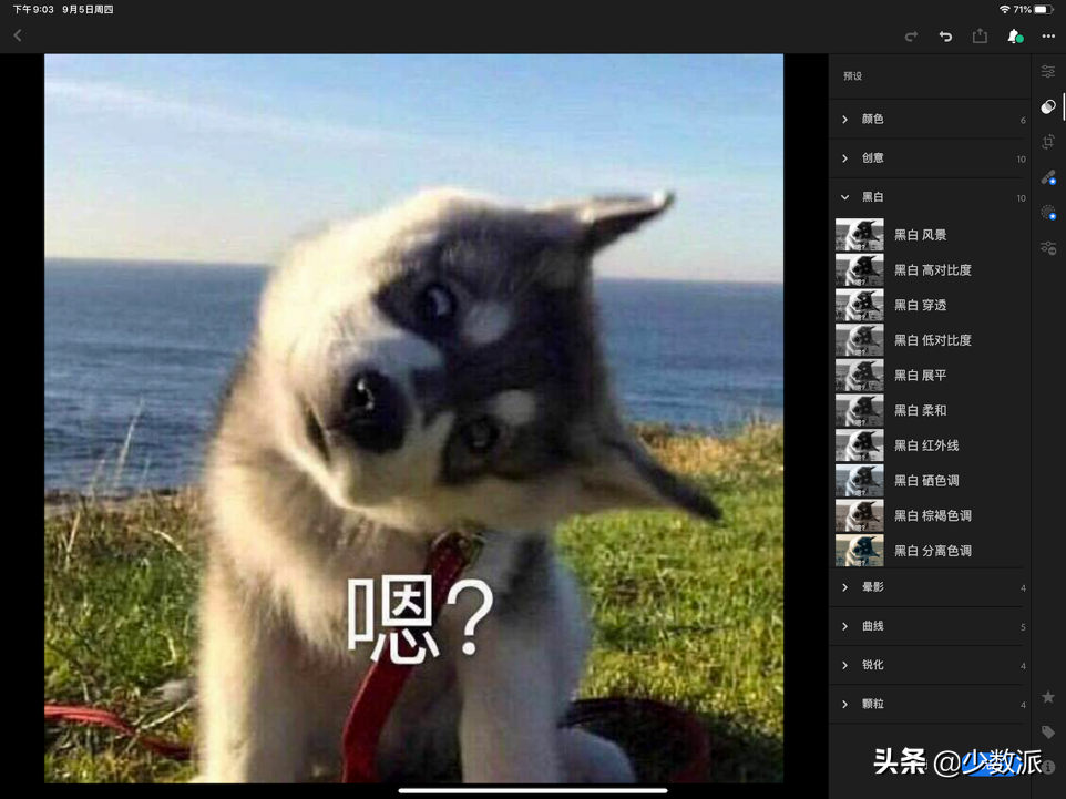 Photoshop 太贵？这些 Adobe 软件免费又好用