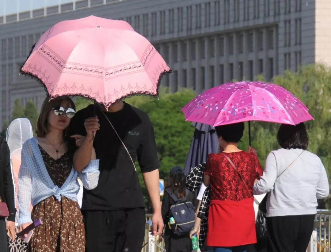 社区团购新变局：头部玩家放缓，盒马集市稳扎稳打，发展迅猛