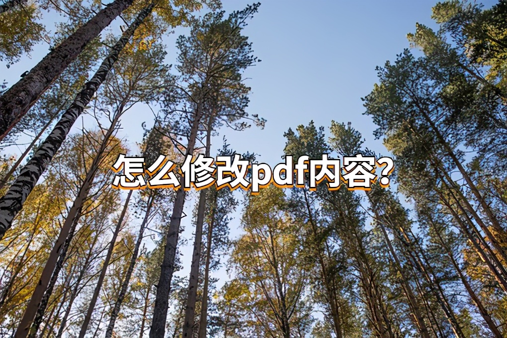 pdf文件出错了，怎么修改里面的内容？