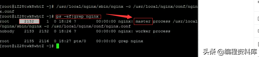 「Nginx」Linux常用命令------启动、停止、重启