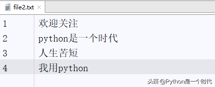 python文件操作，助你快速掌握常用的操作