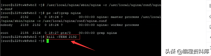 「Nginx」Linux常用命令------启动、停止、重启