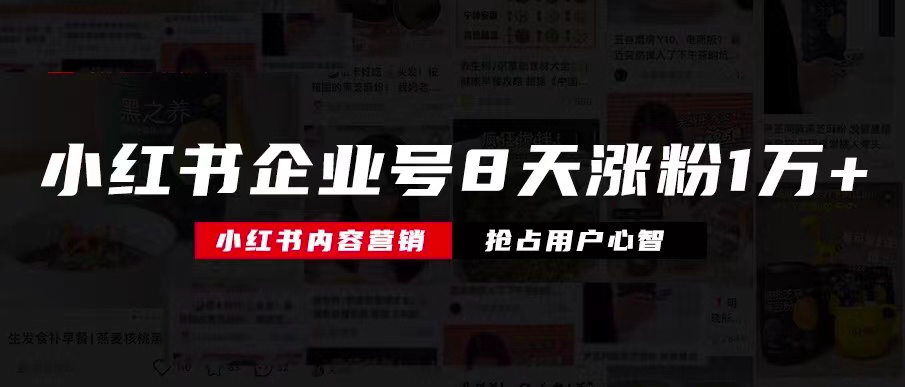 小红书企业号8天涨粉10000+，我是如何到的？