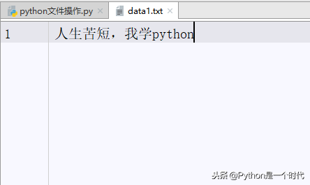 python文件操作，助你快速掌握常用的操作