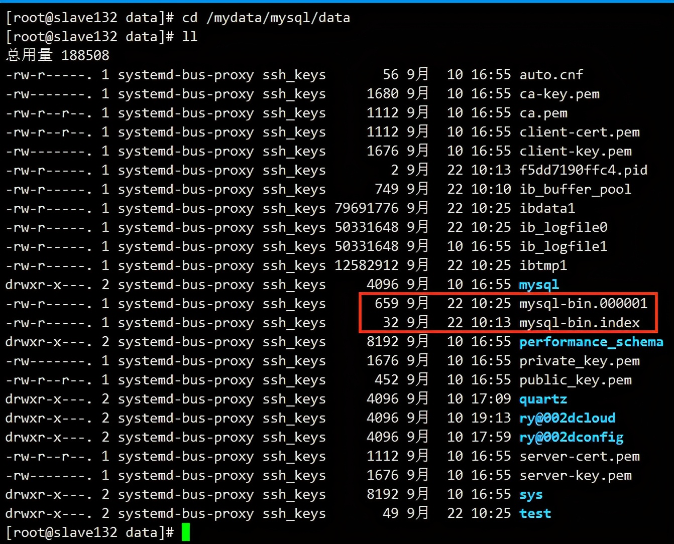 从0开始，实战安装MySQL