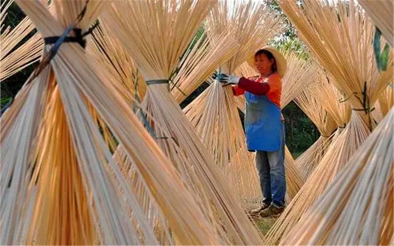 农村的加工厂，现在有哪些项目，有可能实现年收入百万以上？