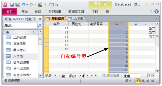 一文进阶ACCESS数据库，小白也能成为数据库使用高手