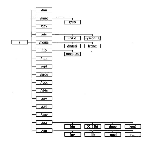 Linux系统文件类型和Linux系统目录结构详解