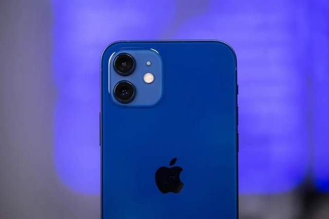 iPhone12一半用户选蓝色 网友：丑？套上手机壳都一样